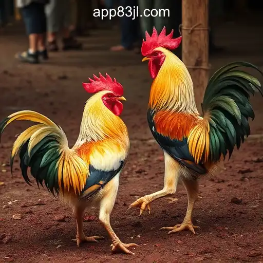 Exploring the World of Cockfighting: Culture, Controversy, and Online Adaptation